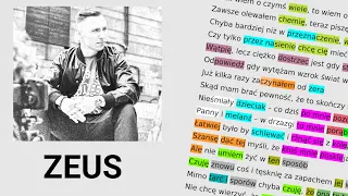 Zeus - Widnokrąg | Rym za rymem