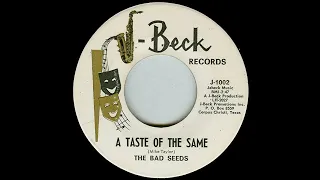 The Bad Seeds - A Taste Of The Same  (1965) (Garage Rock)