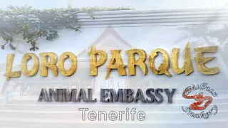 Loro Parque Tenerife 2022 / Loro Park Teneriffa 2022