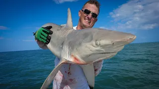 BlackTip SHARK + Pompano {Catch Clean Cook} Epic Birthday Party Taste Test!