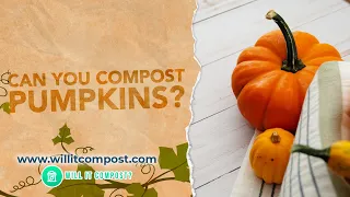 Can You Compost Pumpkins? Tips for a Successful Composting Process