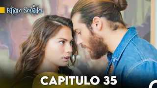 Pájaro soñador - Capitulo 35 (Audio Español) | Erkenci Kuş