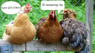 Мерцание, Лесенки, Дальность прорисовки