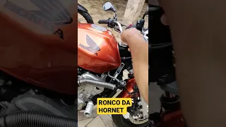 o Ronco da HORNET CARBURADA!