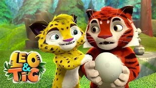 Join Leo and Tig's Funny Family for the Ultimate Summer Fun