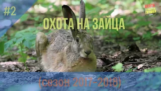 (18+) ХИТРЫЙ ЗАЯЦ (охота на зайца #2) Сезон 2017-2018...