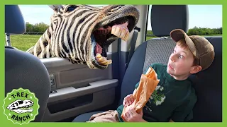 Park Rangers visit to the Animal Park! +30 minutes of T-Rex Ranch Adventures!