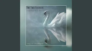 The Two Feathers (Ambient Mix)