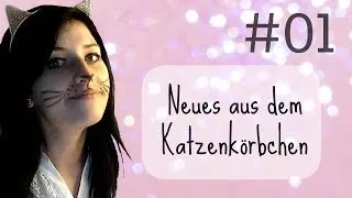 VLOG • Neues aus dem Katzenkörbchen #01