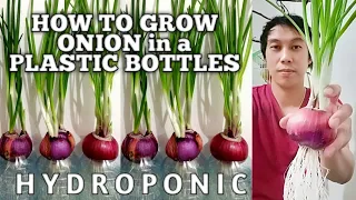 HOW TO GROW ONION in a PLASTIC BOTTLE | Hydroponic Onions | Without Soil