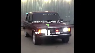 Львиная доля slow