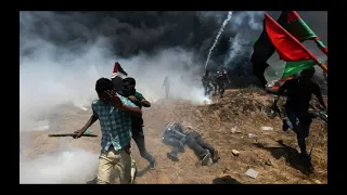 В столкновениях с военными Израиля пострадали 386 палестинцев
