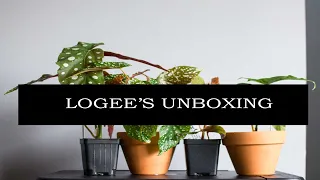 Plant Haul | Logees Unboxing | Begonia Maculata | Begonia Malachosticta