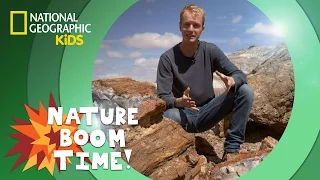 Petrified Forest National Park | Nature Boom Time | @natgeokids