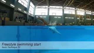 Freestyle Swimming Start