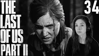 Santa Barbara | The Last of Us Part II - Part 34