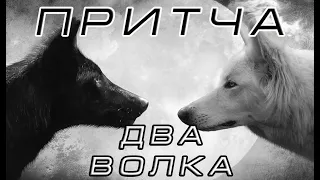 Два волка  Притча о добре и зле