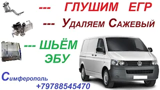 Удаляем Егр и Сажевый Фильтр на Автомобиле - Volkswagen Transporter T5 .