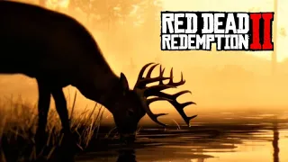 Caçando animais de pelagem perfeita para a PROFISSÃO MERCADOR - RED DEAD ONLINE