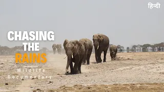 Wild Kenya 2 - हिन्दी डॉक्यूमेंट्री | Wildlife documentary in Hindi