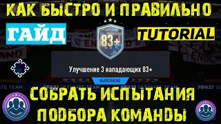 КАК ПРАВИЛЬНО СОБИРАТЬ ИСПЫТАНИЯ ПОДБОРА КОМАНДЫ ФИФА 23 ★ КАК БЫСТРО СОБИРАТЬ СБЧ FIFA 23 ★ ГАЙД