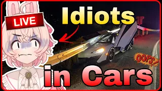 Idiots in Cars