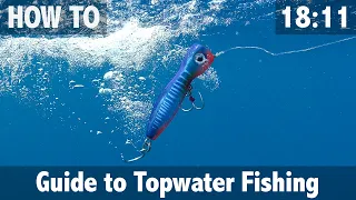 Guide to Topwater Fishing