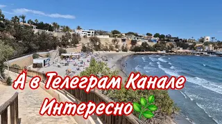 Ролики из Телеги🌸Загляните в мой телеграм-канал.там интересно😘🌞💞