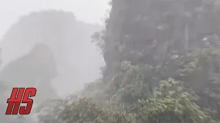 "Kong Spotted Roaming Aklan Philippines Jungle" March 1, 2021 | HollywoodScotty VFX