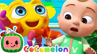 Itsy Bitsy Spider | CoComelon Animal Time | Animals for Kids