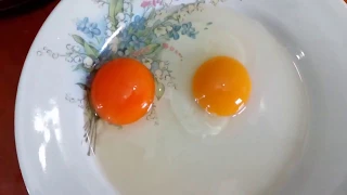 Difference between natural egg and real egg from market