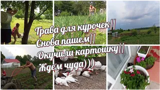 снова пашем//окучили картошку//ждем чуда)))