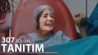 Kan Çiçekleri 307. Bölüm Fragmanı l Bebek Geliyor