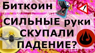 Биткоин СИЛЬНЫЕ руки СКУПАЛИ ПАДЕНИЕ? $200 000 за Bitcoin говорит этот график