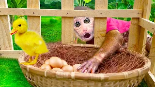 Monkey Baby Bi Bon steals duck's egg and Escape Godzilla | Monkey video