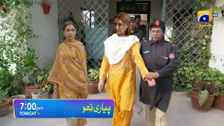 Pyari Nimmo Newly Promo Episode 49 - Full Story - Hira Khan Drama Pyari Nimmo episode 49 Teaser