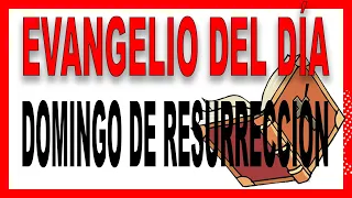 ✴️ EVANGELIO de HOY 31 de MARZO 📌 PADRE GUILLERMO SERRA   JUAN 20, 1-9 📌 DOMINGO DE RESURRECCIÓN