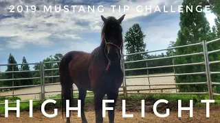 High Flight | 2019 Mustang TIP Challenge