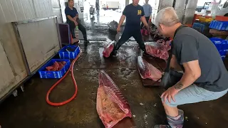 How to cut the 200KG+ bluefin tuna - 如何切割 黑鮪魚 / Taiwan fishport / 台湾魚の港 / 대만 생선 항구