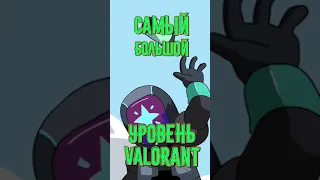 САМЫЙ БОЛЬШОЙ УРОВЕНЬ АККАУНТА VALORANT #shorts