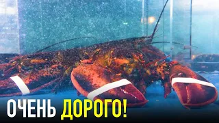 Почему ЛОБСТЕР Стоит Так Дорого?! Слишком Дорого