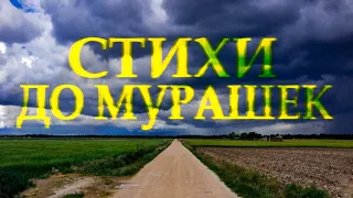 Очень душевный стих "Мой вам совет при любых обстоятельствах" Ах Астахова Читает Леонид Юдин