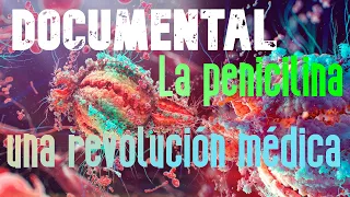 La penicilina una revolución médica Documental en español