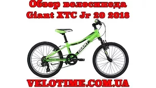 Обзор велосипеда Giant XTC Jr 20 2018