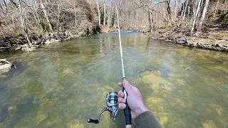 TROUT Fishing with Inline Spinners (creek fishing)
