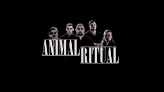 Animal Ritual - Losing Touch