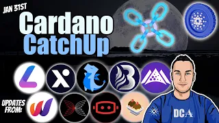 Cardano News - Launches, Updates, New Highs and Cross Chain Swaps