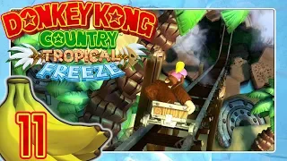 DONKEY KONG COUNTRY: TROPICAL FREEZE 🍌 #11: Silhouetten-Tauchen