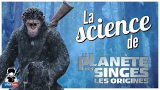 Alzheimer, football et thérapies géniques, la science de la Planète des Singes... 🐵🐒