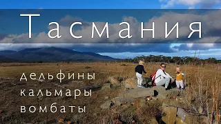 Влог #7. Восточная ТАСМАНИЯ на ЯХТЕ с детьми.